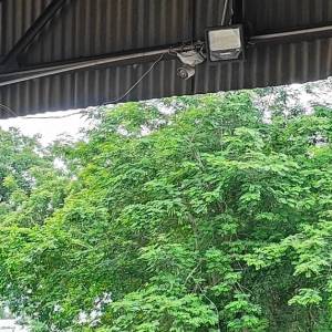 CCTV-1_original
